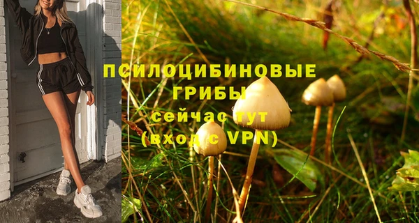 а пвп мука Верхний Тагил