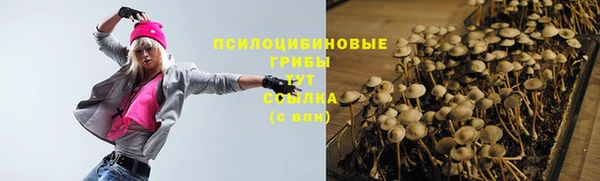 альфа пвп Верхнеуральск