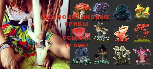 альфа пвп Верхнеуральск