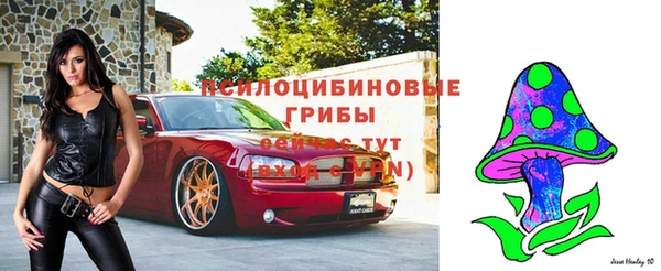 а пвп мука Верхний Тагил