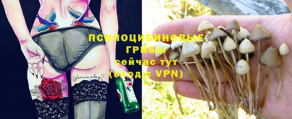 а пвп мука Верхний Тагил