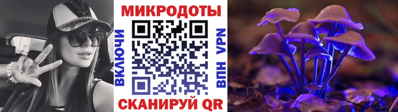 kraken ТОР  даркнет сайт  Мытищи  Галлюциногенные грибы Magic Shrooms 